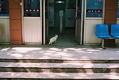 只需万元人民币 《生化危机8》吸血鬼夫人模型带回家