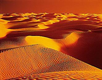 《使命召唤：战区2.0》外挂猖獗 船在空中乱飞