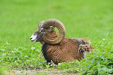 《战地2042》计分板UI曝光 将于2月中旬加入